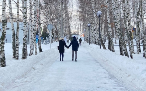 Овны начнут генерировать идеи, а Тельцов ждут сюрпризы: гороскоп