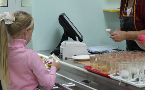 В Козловском районе школьников из многодетных семей не кормят бесплатно и копят долги