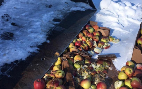 В Канаше раздавили почти тонну импортных яблок