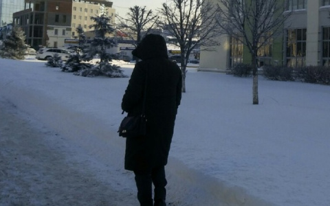 Чебоксарка захватила землю под теплицы и судится с городом