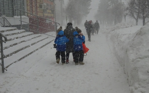 Какие выплаты положены семьям с детьми