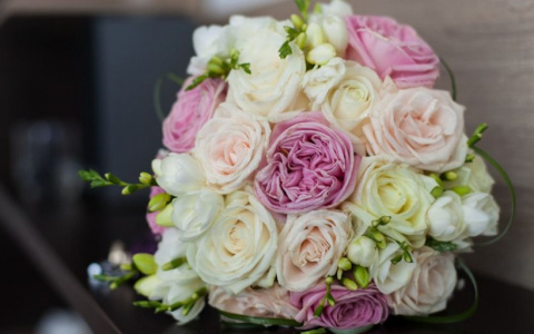 Сбер поздравляет прекрасных женщин с 8 Марта