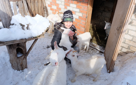 Женщина бросила работу в городе и вернулась жить в деревню: “Построю перепелиную мини-ферму”