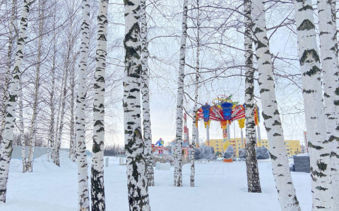 Раков ждут полезные идеи, а Водолеев - особое везение