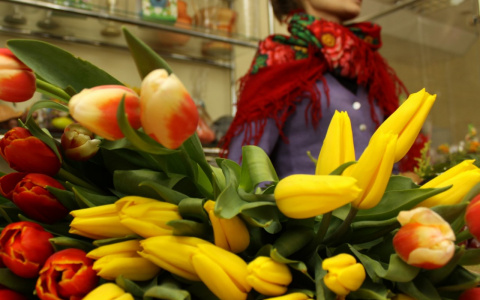 Девушка заказала в интернете 500 тюльпанов, но не получила ни одного