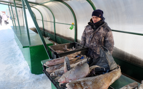 Рыбак второй раз попался чиновникам за торговлю уловом: "У меня двое детей, а это единственный доход"