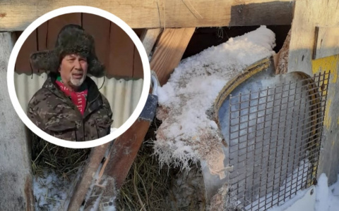 Жители деревни в Чувашии ходят с вилами: "Зверь пришел от соседей и сделал дырку в моей овчарке"