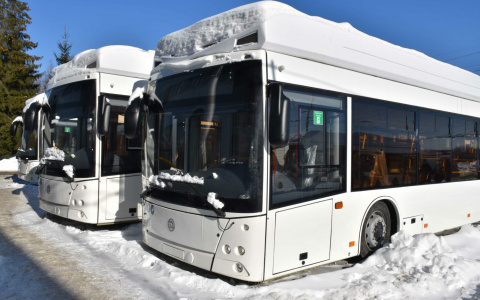 Чувашия планирует получить оставшиеся 38 новых троллейбусов к апрелю