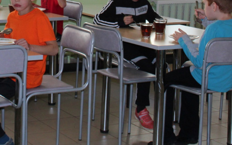 Гнилые сухофрукты и грызуны на складе: что еще нашла прокуратура при проверке пяти школ в Чувашии