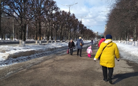 Скорпионы могут сделать большое дело, а Тельцам поможет интуиция