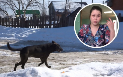 Бродячий пес изуродовал ногу девушке: кого можно призвать к ответу?