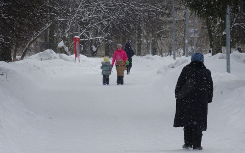 Сильный ветер днем и понижение температуры ночью: прогноз на завтра