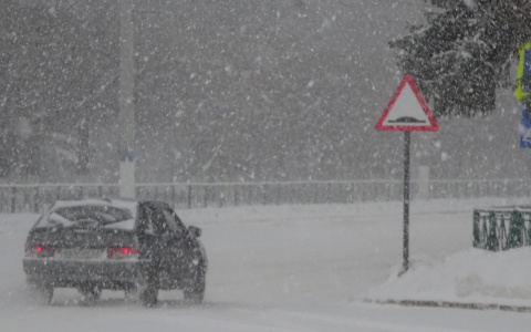 Ученикам автошкол полностью отменили один экзамен