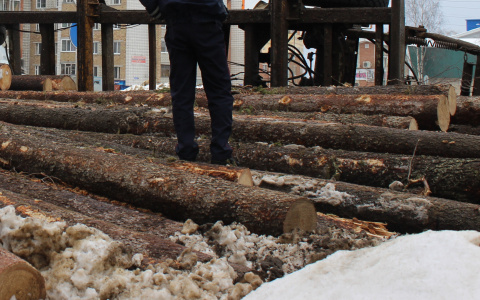 Какие профессии приносят жителям Чувашии наибольший и наименьший доход