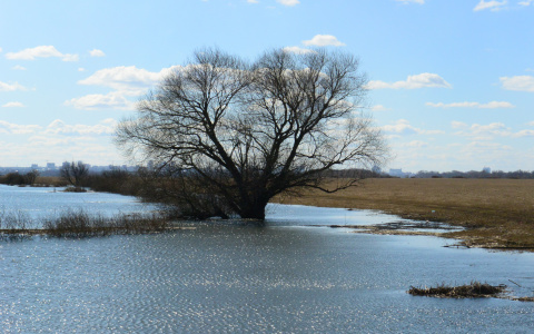 Спасатели озвучили дату начала паводка в Чувашии