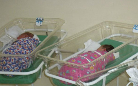 В Чебоксарах королевской двойне дали необычные имена на "Д"