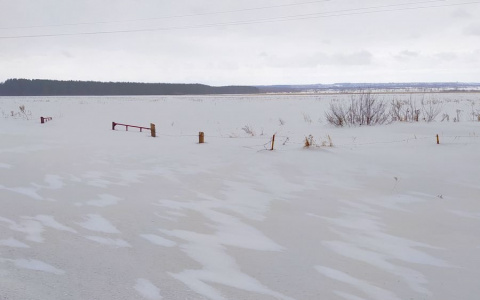 В Чувашии выпал песок из соседнего государства и сделал снег желтым