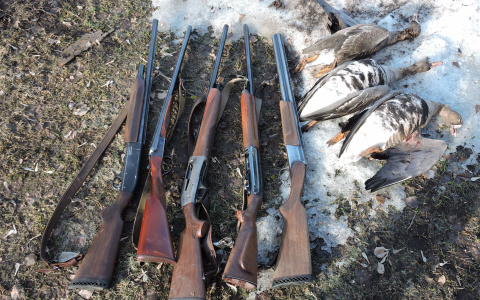 В Чувашии открывается сезон охоты на дичь