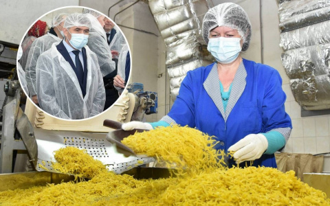 Идея Николаева кормить школьников сушеной картошкой вызвала волну критики