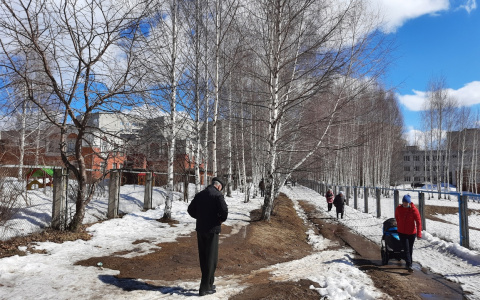 Население Чувашии вымирает быстрее, чем в Татарстане и Марий Эл