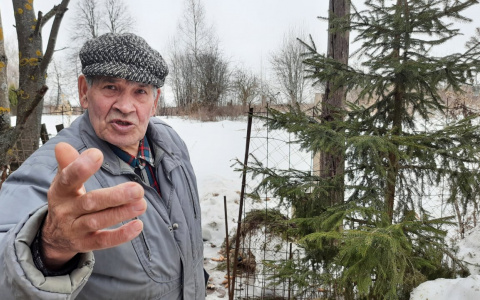 Пенсионер засадил больше 1000 деревьев, чтобы спасти деревню от природного явления