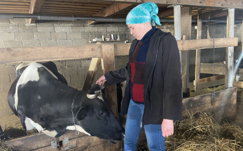 Супруги из Моргаушского района завели коров и стали работать на себя: "На наемный труд не вернемся"