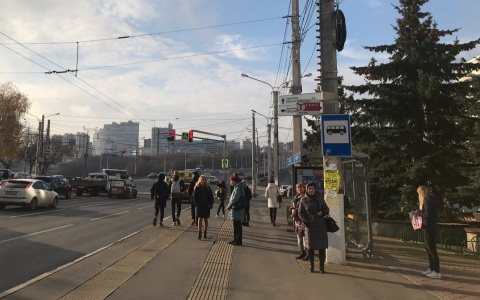 25 градусов тепла возможны в Чувашии уже на следующей неделе