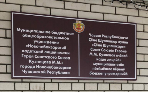 Смерть школьника в Новочебоксарске: проверят и школу, и больницу