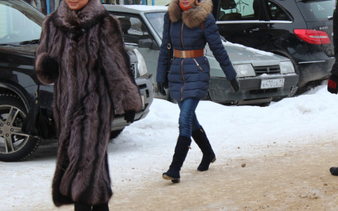 В Чебоксарах многодетная мама отдала за несуществующие водительские права около 30 тысяч рублей