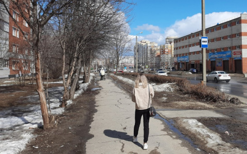 Чебоксарка выполнила все просьбы мужчин, которые представились полицейским и прокурором