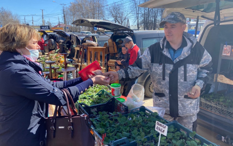 Мужчина бросил работу участкового и стал выращивать клубнику: "Решились все финансовые проблемы"