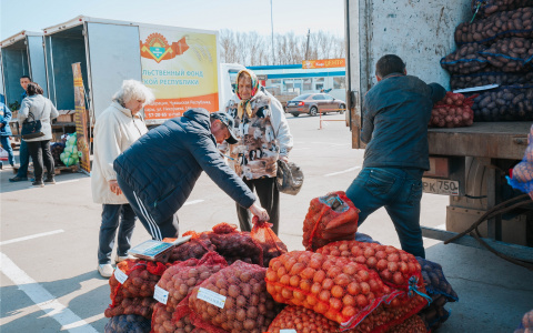 В Чебоксарах начали работать весенние овощные рынки: обзор цен