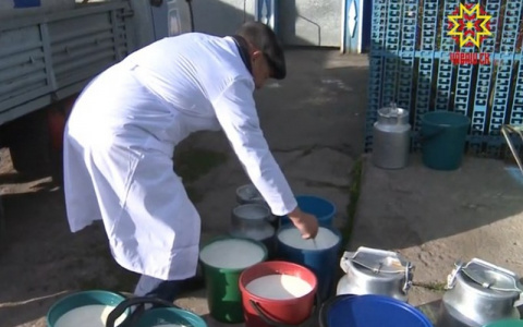 Снижение закупочных цен на молоко ударило по жителям семи районов Чувашии