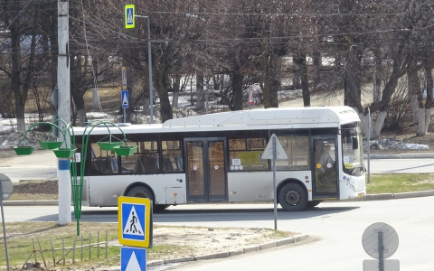 Маршрут № 101 до Новочебоксарска вновь не понравился антимонопольщикам