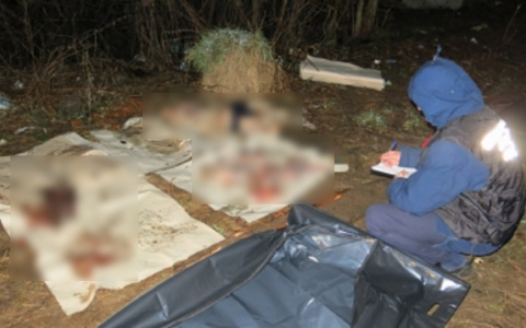 Пропавшего в Новый год мужчину нашли расчлененным