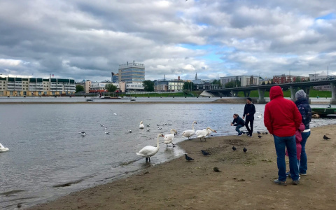 Козерогам пришло время делать выбор в личной жизни, а Водолеям - готовиться к сюрпризам
