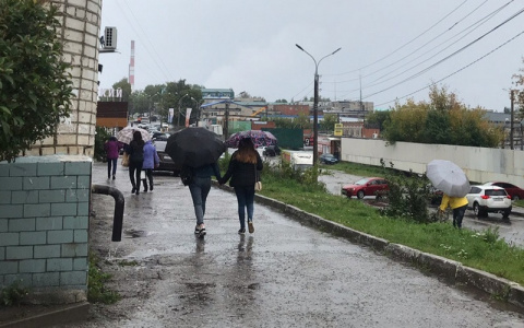 Дождливая погода задержится в Чувашии
