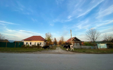 Чувашию назвали регионом с самыми дешевыми частными домами в стране