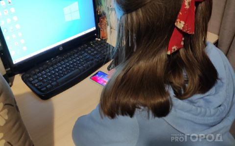 Чебоксарка захотела жить на проценты, но за неделю лишилась 2 млн рублей