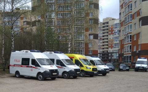 За майские праздники 23 человека пострадали от нападения собак, еще 20 упали с высоты