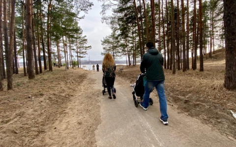 Выплату по 9883 рубля получат в мае шесть тысяч детей в Чувашии