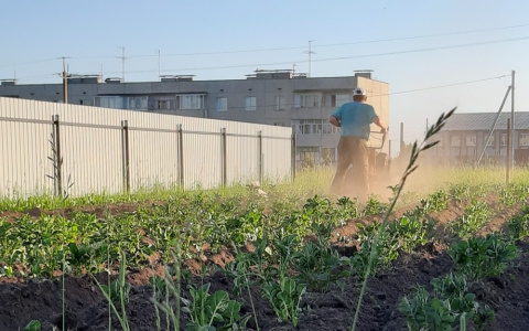 Житель Чувашии купил участок и 15 лет считал его своим, но потом погнали его прочь