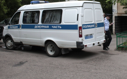 В Новочебоксарске всю ночь искали двух мальчиков с собакой