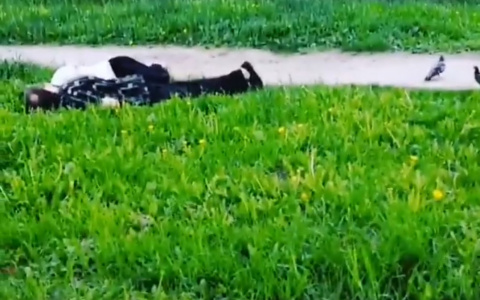 Жительница Чебоксар возмущена спящими где попало людьми: “Только в одном районе нашла четверых”