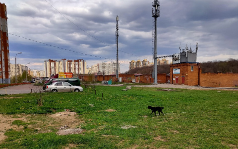 Немного посвежее станет в Чувашии в пятницу