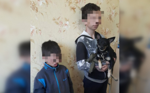 Пропавшие в Новочебоксарске братья подняли на уши всю местную полицию: боялись возвращаться домой