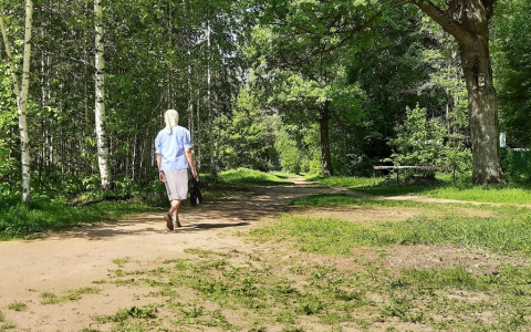 Пенсионерка накопила 700 тысяч рублей, но легко отдала неизвестному