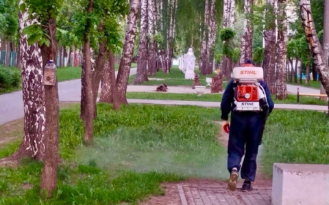 Чебоксарские парки и скверы обрабатывают от комаров и клещей