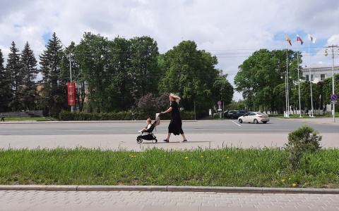 Больше половины семей в Чувашии получили отказ в пособии на детей от 3 до 7 лет: но заявления еще рассматривают