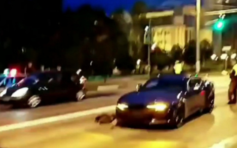 На водителя "Шевроле Камаро", который сбил женщину с двумя собаками, завели уголовное дело